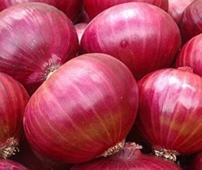 Pyaz onion